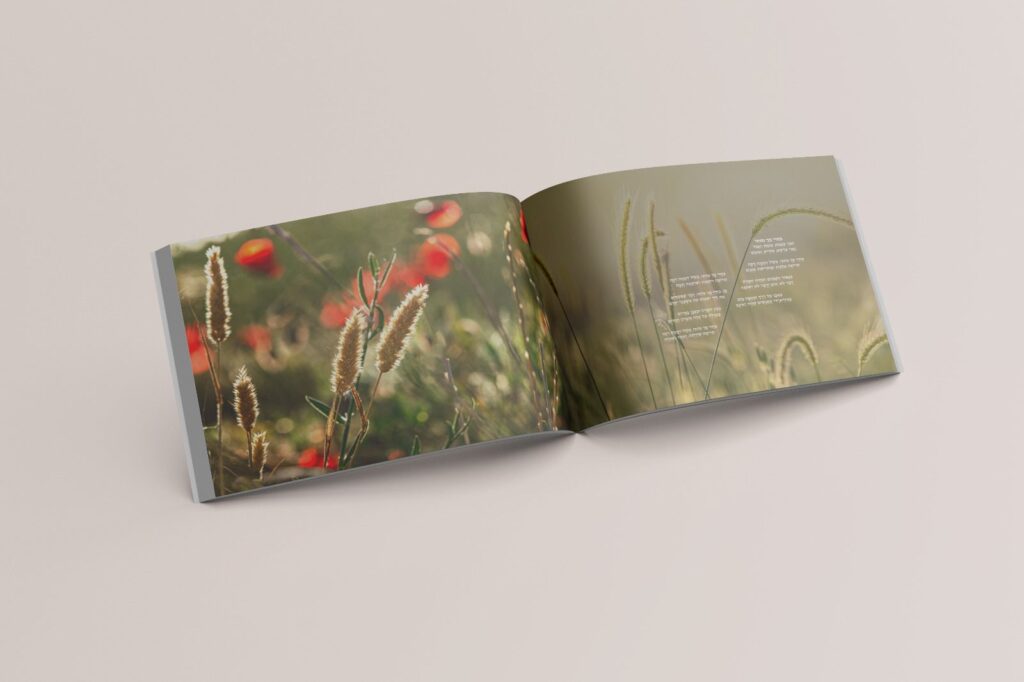 WhatsApp Image 2026-01-27 at 14.21.54